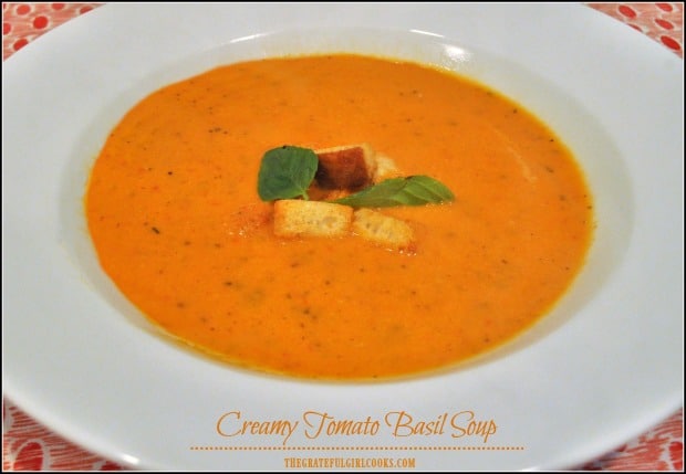 https://www.thegratefulgirlcooks.com/wp-content/uploads/2014/01/Creamy-Tomato-Basil-Soup-20.jpg