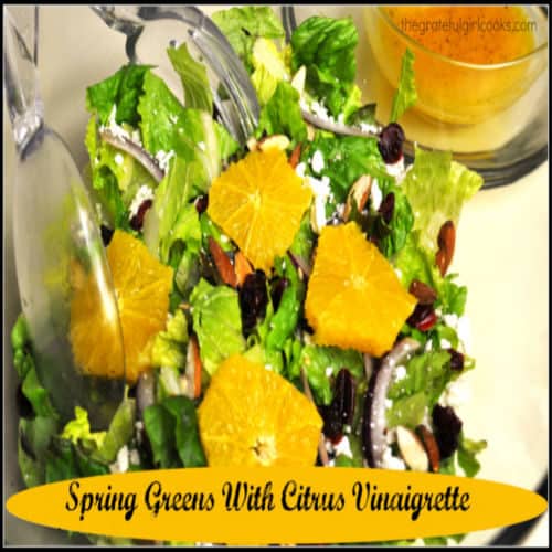 https://www.thegratefulgirlcooks.com/wp-content/uploads/2014/05/Spring-Greens-With-Citrus-Vinaigrette-recipe-pic-500x500-1-500x500.jpg