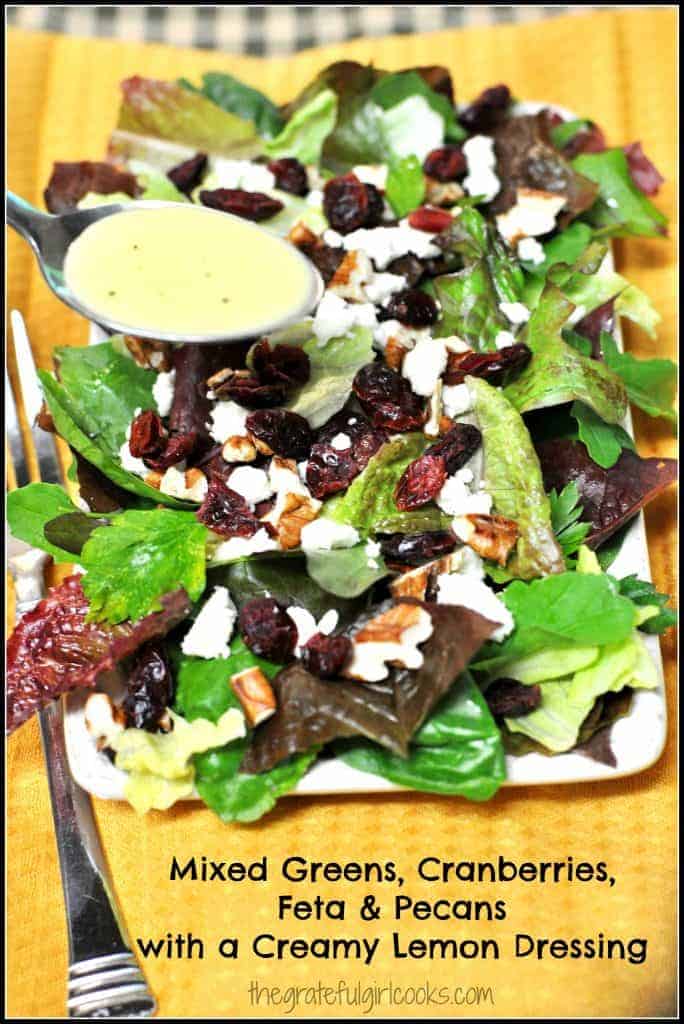 Mixed Green Salad with Pomegranate Seeds, Feta and Pecans – The