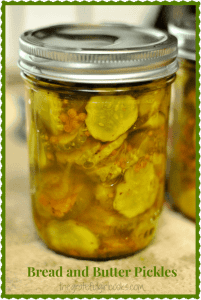 Bread And Butter Pickles / The Grateful Girl Cooks!