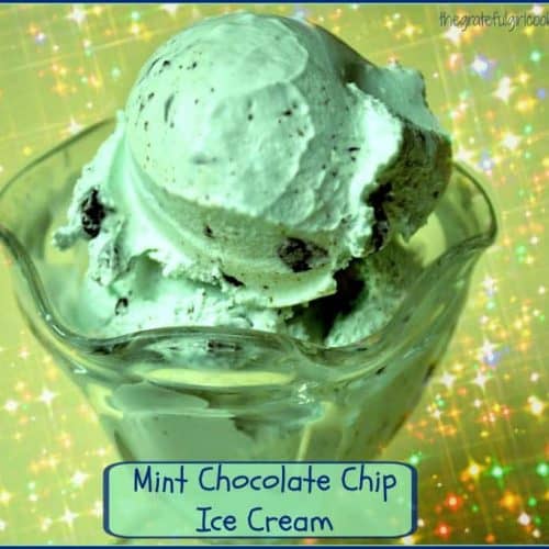 Mint Chocolate Chip Ice Cream / The Grateful Girl Cooks!