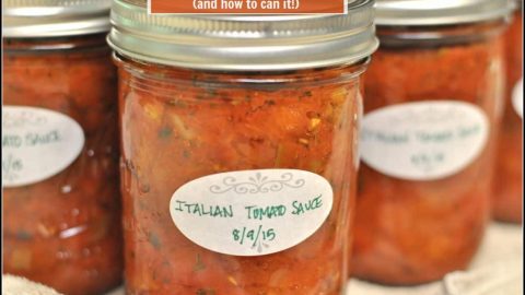 Italian Style Tomato Sauce And How To Can It The Grateful Girl Cooks