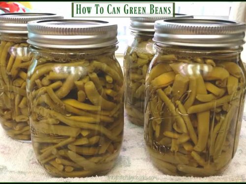 How To Can Green Beans The Grateful Girl Cooks