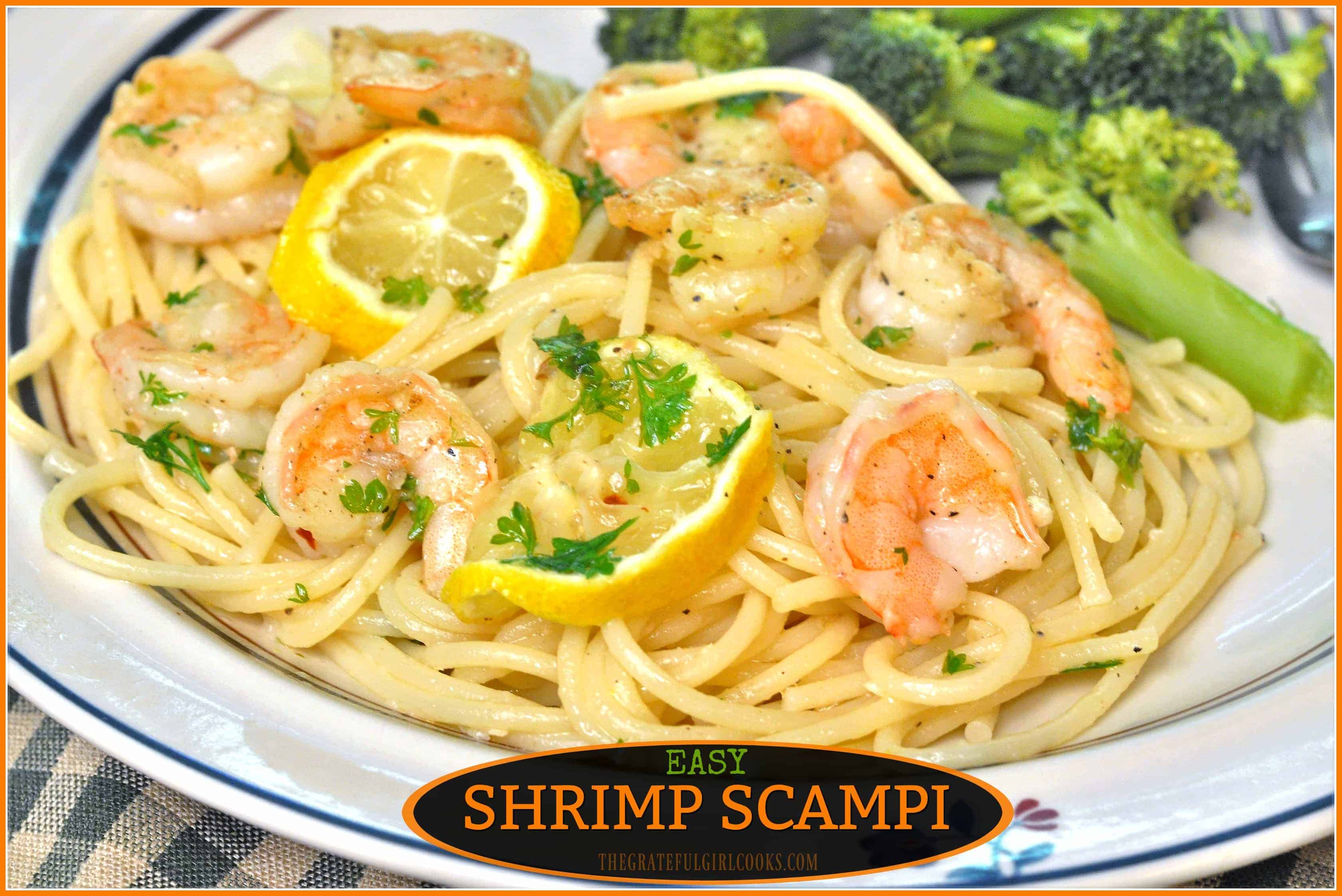 https://www.thegratefulgirlcooks.com/wp-content/uploads/2017/07/Shrimp-Scampi-1.jpg