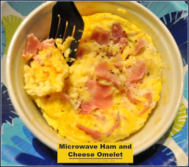 Microwave Omelette
