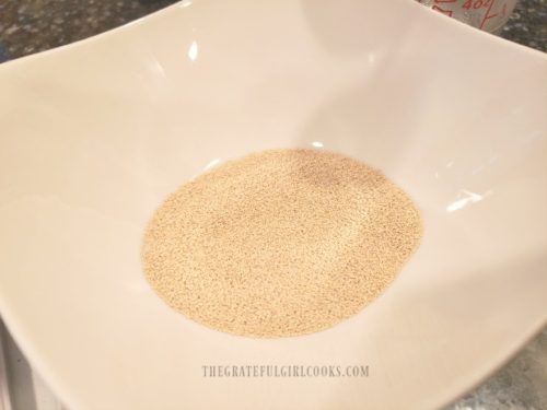 How To Test Yeast For Viability The Grateful Girl Cooks 