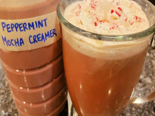 https://www.thegratefulgirlcooks.com/wp-content/uploads/2022/09/Peppermint-Mocha-Coffee-Creamer-recipe-pic-500-x-500-500x375.jpg