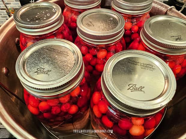 7 quart jars of cranberries, etc. are lowered into the water bath canner.