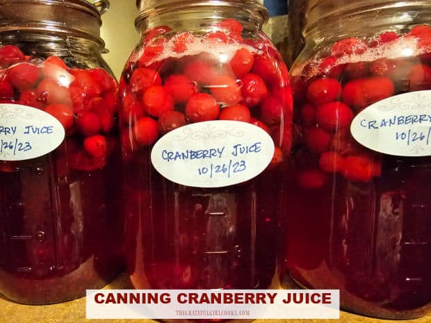 Canning Cranberry Juice is simple, using a water bath canner! This recipe will yield 7 quart jars of delicious tasting cranberry juice.