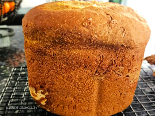A tall, hot loaf of oatmeal molasses bread, right out of the machine.