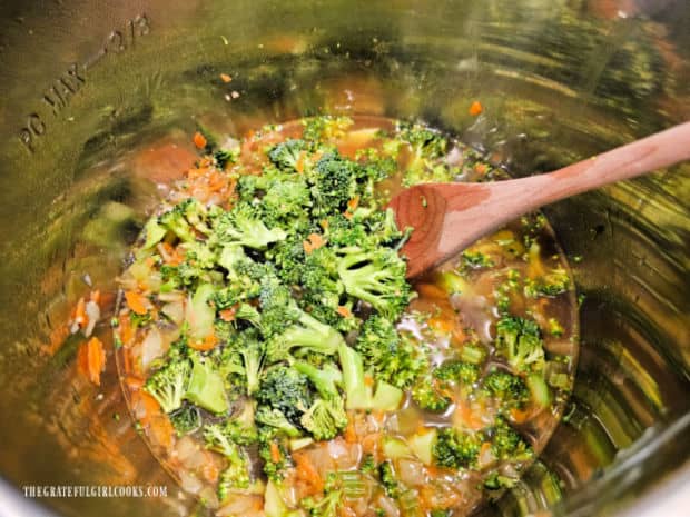 Broccoli florets and vegetable broth are added to the Instant Pot.
