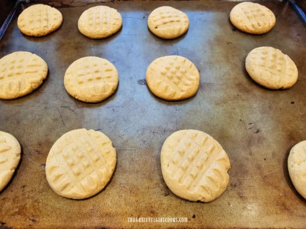 Classic peanut butter cookies, ready to bake.