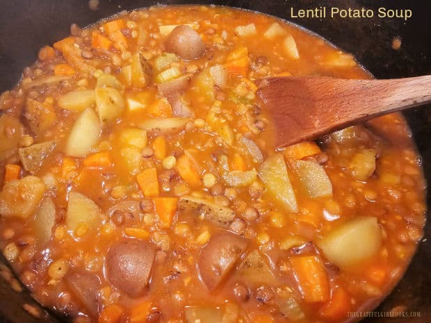 Lentil Potato Soup is a hearty and filling meatless soup that serves 6 and is easy to make. It's also budget friendly and tastes delicious!