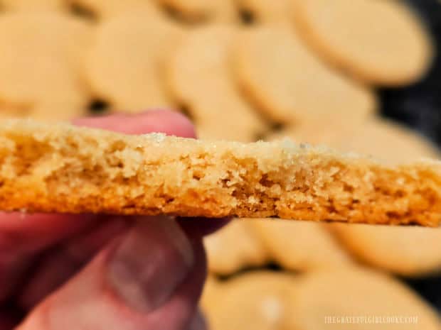 The inside of one of the simple sugar cookies, after a big bite is taken.