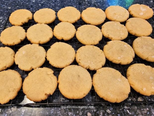 Simple sugar cookies, cooling on a wire rack after baking.