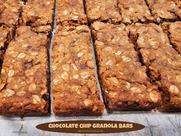 Make 16 delicious, chewy Chocolate Chip Granola Bars for family and friends! These granola bars are easy to make and they taste fabulous!