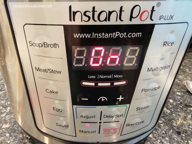 Instant Pot cooks the stew in a short amount of time.