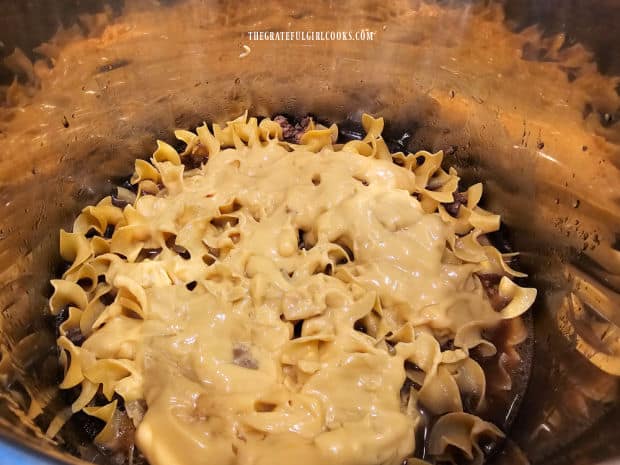 Cream of mushroom soup is spread over the top of the noodles.