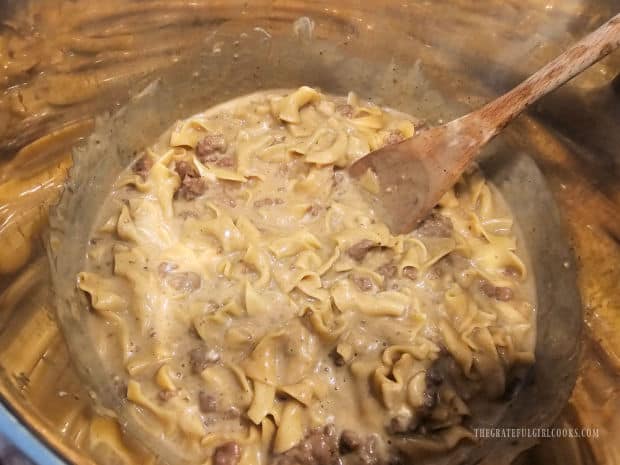 Now the Instant Pot Ground Beef Stroganoff is ready to be served hot.