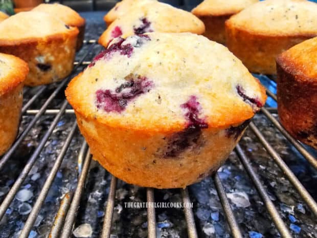 A side view of one of the muffins on a wire rack.