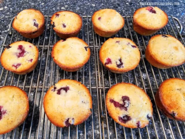 Blueberry Lemon Poppyseed Muffins cool on wire rack after baking.