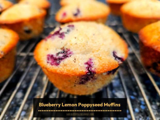 Blueberry Lemon Poppyseed Muffins are absolutely delicious! Juicy blueberries, lemon juice, zest and poppyseeds are the stars! Makes 12.