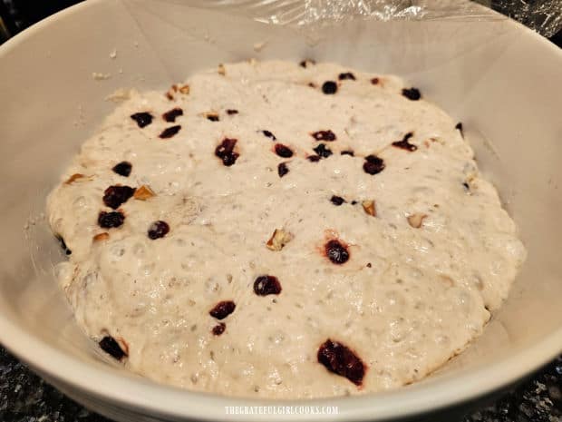 When the dough has doubled in size it is ready to be shaped into a loaf.