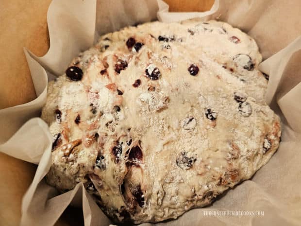 Bread loaf is placed in HOT Dutch oven on top of parchment paper.