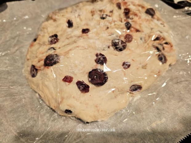 Round loaf is on parchment paper and covered with plastic wrap.