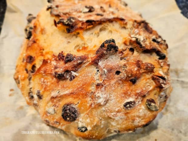 Loaf of cranberry pecan bread is baked, and cools on parchment paper.