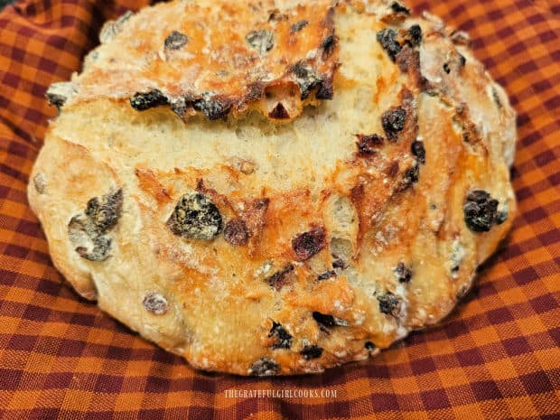 One large loaf of cranberry pecan bread, ready to be sliced.