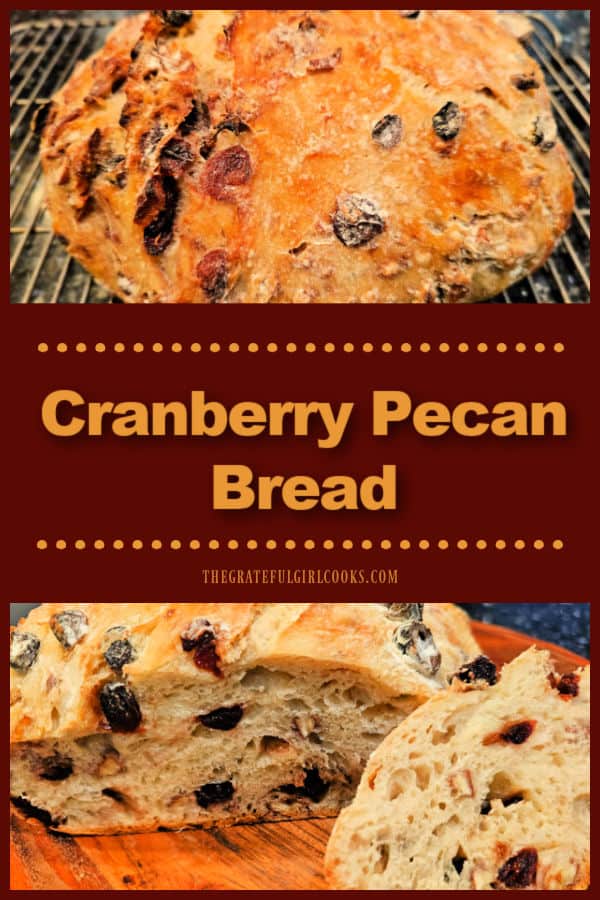 Cranberry Pecan Bread is a delicious, no-knead, large bread loaf filled with plump, dried cranberries and chopped pecans. It's wonderful!