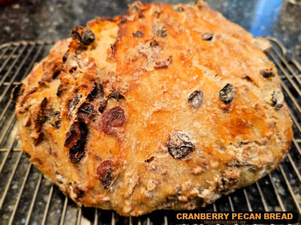 Cranberry Pecan Bread is a delicious, no-knead, large bread loaf filled with plump, dried cranberries and chopped pecans. It's wonderful!