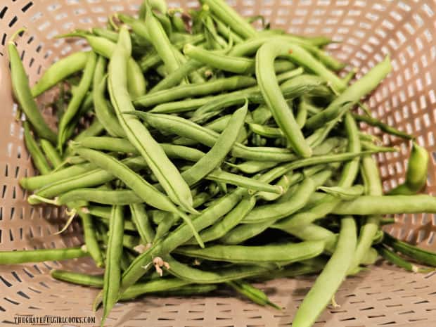 Fresh green beans, ready to be trimmed and cooked.