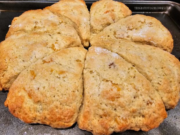 Apricot Glazed Scones are lightly browned on top, once baked.