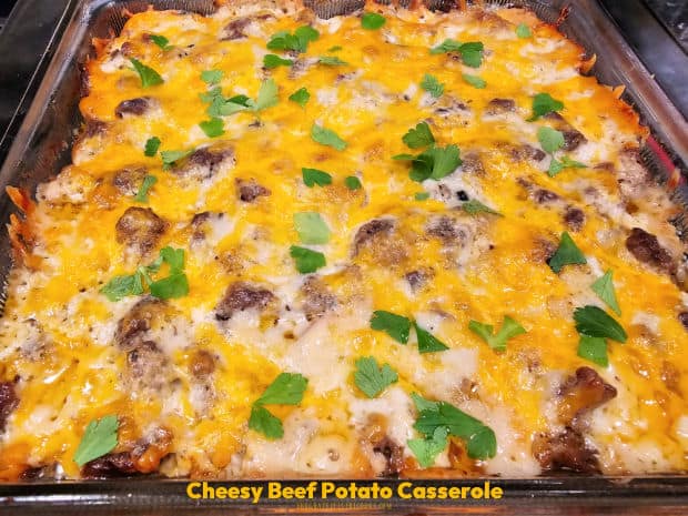 Cheesy Beef Potato Casserole is a delicious dish, with layers of ground beef, sliced potatoes, creamy sauce and cheddar cheese. Serves 4.