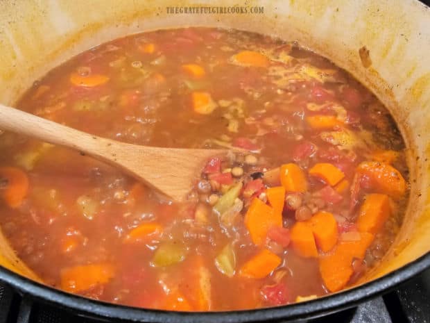 After cooking for 25 minutes, the lentils have become tender.